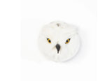 Trophy snowy owl, Chloe