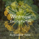 The Scents Of Pelegrims