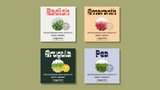 Microgreens Grow Cup Arugula