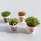 Microgreens Grow Cup Arugula
