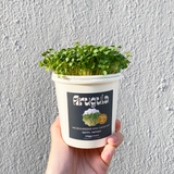 Microgreens Grow Cup Amaranth