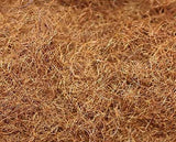 Raised Garden Bed Grow Kit | 高架式種植箱套裝