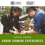 Garage Greens Urban Farming Experiences (Oct - Dec 2019)