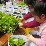 Biennale of Urbanism\Architecture (HK)