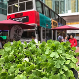 Tong Chong Street Market Workshops