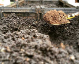 Raised Garden Bed Grow Kit | 高架式種植箱套裝