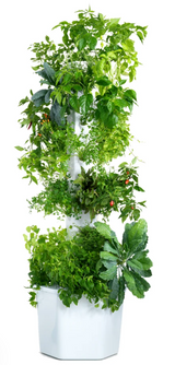 Aerospring Tower Grow Kit | 高身流水種植套裝