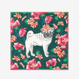 Scarf Ca22tou26 Emerald