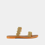 Plagettes Wido Cde Or