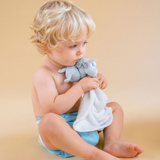 Cloth Diapers - Classic Collection - Single Diaper Set + Inserts | Cloth Diapers | Just Peachy