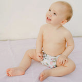 Cloth Diapers - Nature Collection - Single Diaper Set + Inserts | Cloth Diapers | Just Peachy