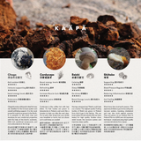 Chaga SOMA tincture