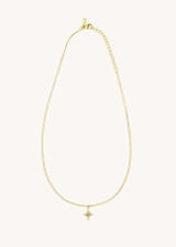 Necklace Co-116g Gold