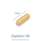 PURE Digestion GB 90s