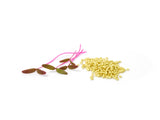 Microgreens Seed | 迷你菜種子