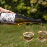 Sea Change Organic White/Chardonnay