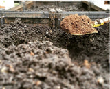 Ground Garden Bed Grow Kit | 座地式種植箱套裝