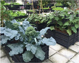 Ground Garden Bed Grow Kit | 座地式種植箱套裝