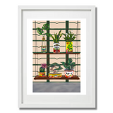 DWD PRINT: Shelf Life