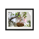 VIEW THROUGH JEN'S LENS PRINT: Hong Kong Birdcage