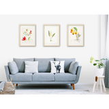 Mark Isaac-Williams Print: Heliconia