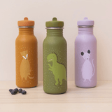 恐龙先生 500ml 水瓶