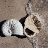 海洋混合沐浴套装