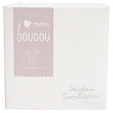 小兔豆豆和花盒