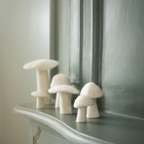 Mushrooms - Natural