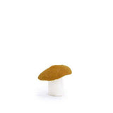 Morel Mushroom - MANGROVE S
