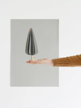 CYPRESS tree grey