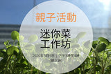 網上迷你菜工作坊