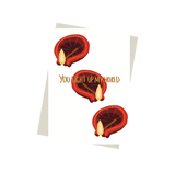 You Light up My World - Diwali