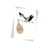 Same Day Shipping Stork