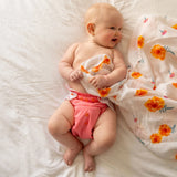 Cloth Diapers - Classic Collection - Set of 3 | Cloth Diapers | Just Peachy