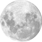 LUNA WALL STICKER