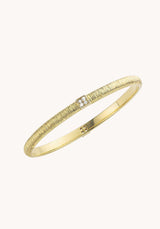 Bangle Br-312.60g Gold