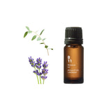 Botanical Air - Eucalyptus Lavender