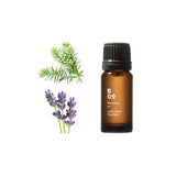 Botanical Air - Lavender Teatree
