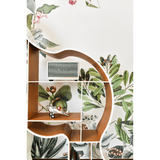 银背大猩猩图书馆