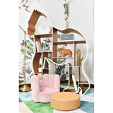 银背大猩猩图书馆