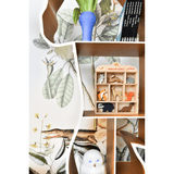 银背大猩猩图书馆