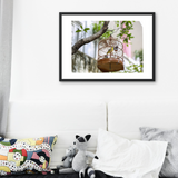 VIEW THROUGH JEN'S LENS PRINT: Hong Kong Birdcage