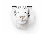 Trophy White Tiger Albert