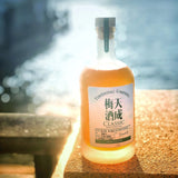 经典梅酒(米酒)500ml