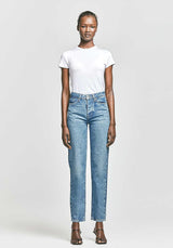 裤子阿比盖尔雄猫