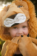 Woodland Storybook Lion Cape