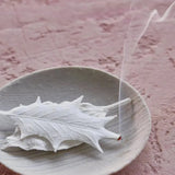 HAKO Winter Box set of five pics