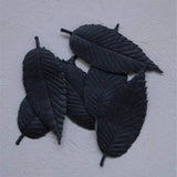 HAKO Black 特别黑盒-焦点