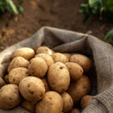 Potato Chips - Salted 150g